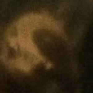 Meet your Posher, Nathan